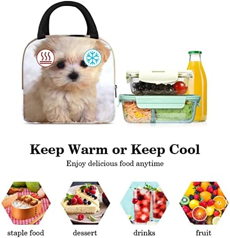 Чанта за обяд GUEROTKR за Мъже, Изолиран Обяд-Бокс, Кутия за Обяд за Възрастен, кафяв фигура на куче с животни