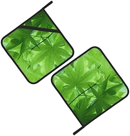 Green Nature 2 Опаковки Прихваток за Кухня, Топлоустойчива Комплекти Прихваток, Стойки за Фурни, кухненски ръкавици