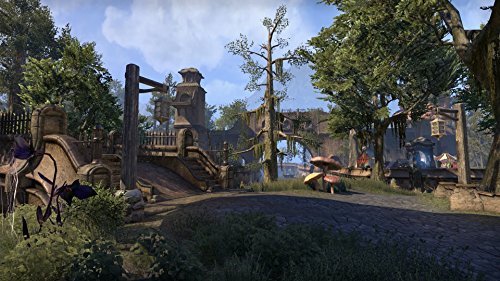 The Elder Scrolls Online: Морровинд (Xbox One)