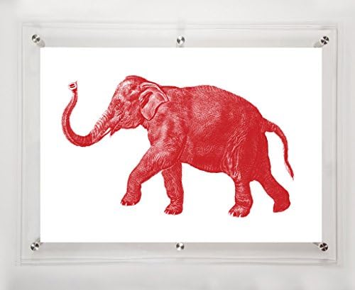 Червено слон, 25,5x31,5 инча.