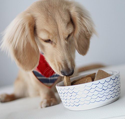 Керамична купа за кучета Waggo Sketched Wave, синьо / бяла, здрава и купа за храна и вода за кучета (голяма)