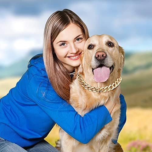 3sscha 2 бр. куче с верига от кубински планински Кристал, Леки Регулируеми Декоративни Аксесоари за Фотосесия Златен цвят,