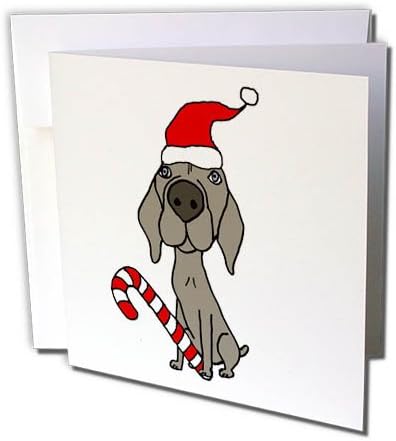 3dRose Сладко забавно куче порода weimaraner шапка на Дядо Коледа с коледен дизайн - поздравителна картичка, с размери 6 на