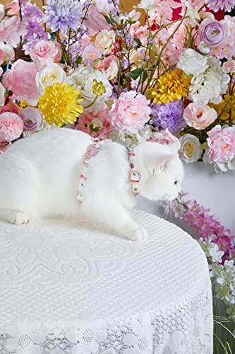 Комплект Колан и Каишка за котки ARKIKA, Лека Сладък Шлейка за начин на отглеждане на котки, Бяло-Розово S