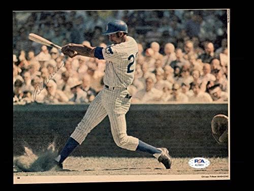 Billy Уилямс PSA DNA Coa Подписа Винтажную снимка 8x10 С автограф от Малките Снимки на MLB С автограф