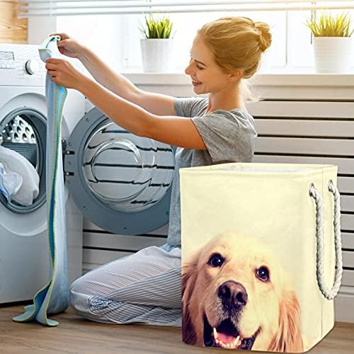 Куче Голдън Ретривър Големи кошове За пране и Чанта За Съхранение на Мръсна Кърпа Кошница с Дръжки Сгъваеми